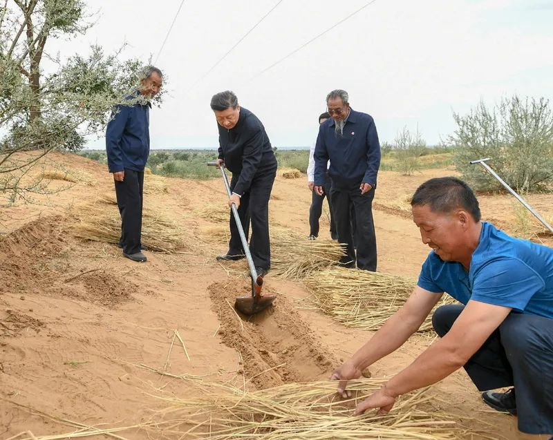 2019年8月21日，習(xí)近平來到甘肅省武威市古浪縣八步沙林場，實(shí)地察看當(dāng)?shù)刂紊吃炝?、生態(tài)保護(hù)等情況。新華社記者 謝環(huán)馳 攝