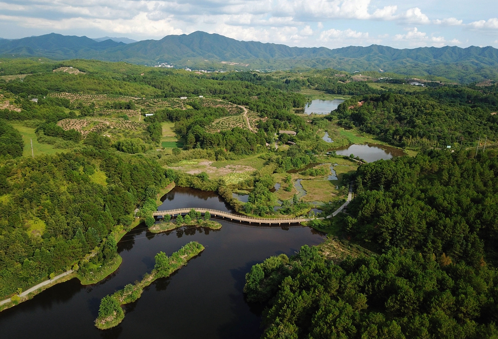 福建省龍巖市長汀縣的長汀汀江國家濕地公園景色（2020年7月28日攝，無人機照片）。新華社記者 魏培全 攝
