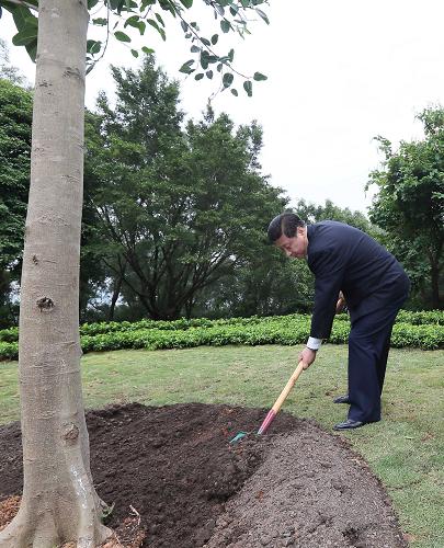 2012年12月7日至11日，習(xí)近平在廣東省考察工作。這是8日上午，習(xí)近平在深圳蓮花山公園種下一棵高山榕樹。新華社記者 蘭紅光 攝