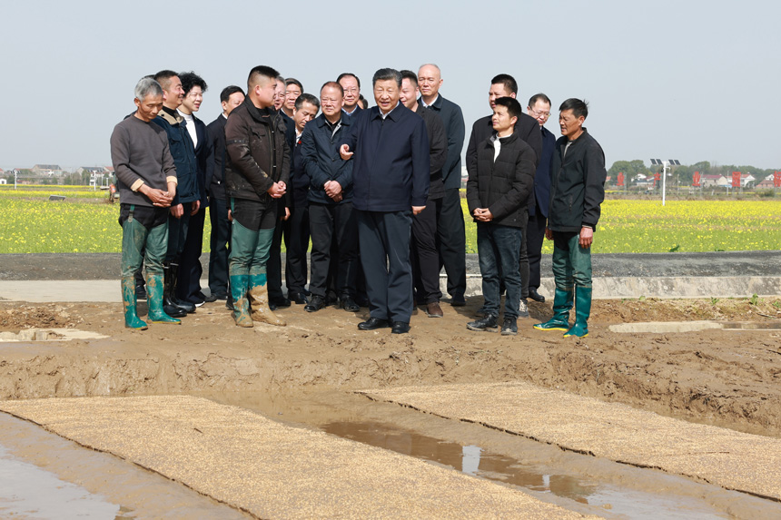 2024年3月18日至21日，中共中央總書記、國(guó)家主席、中央軍委主席習(xí)近平在湖南考察。這是19日下午，習(xí)近平在常德市鼎城區(qū)謝家鋪鎮(zhèn)港中坪村走進(jìn)田間，察看秧苗培育和春耕備耕進(jìn)展。新華社記者 王曄 攝